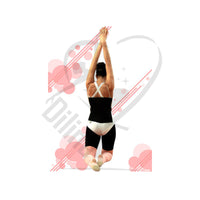 Pastorelli Gym Back-Protecting Pillow Senior Accessories