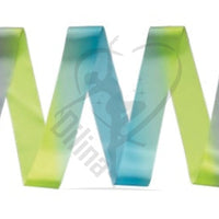 SASAKI | ART GRADATION RIBBON | MJ-715AG-F | 5M Ribbons