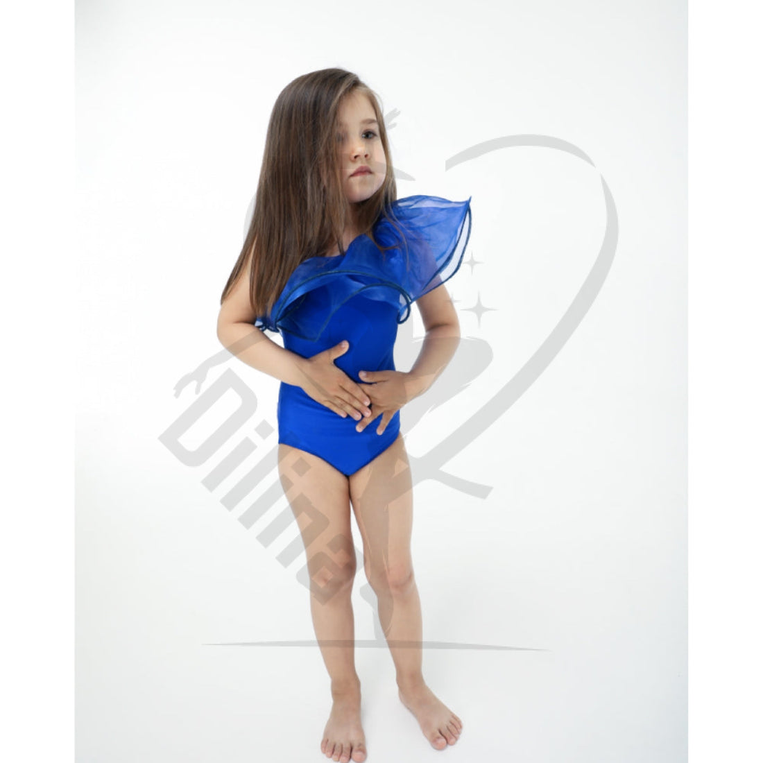 Coloured Body With Oraganza Flounce Blue Leotards