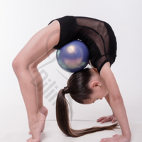 Grase Short Sleeve Black Leotard With Mesh Back Leotards