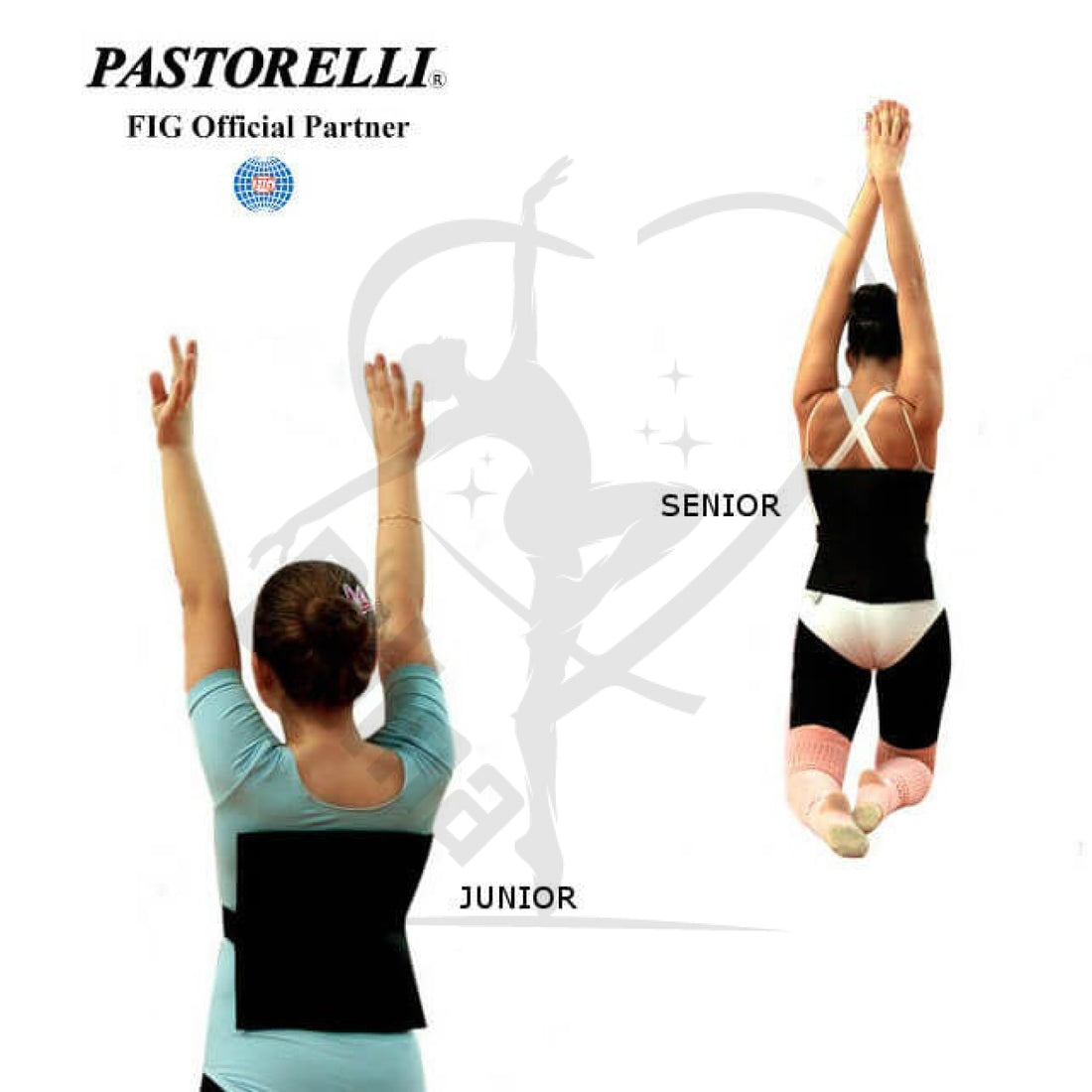Pastorelli Gym Back-Protecting Pillow Accessories