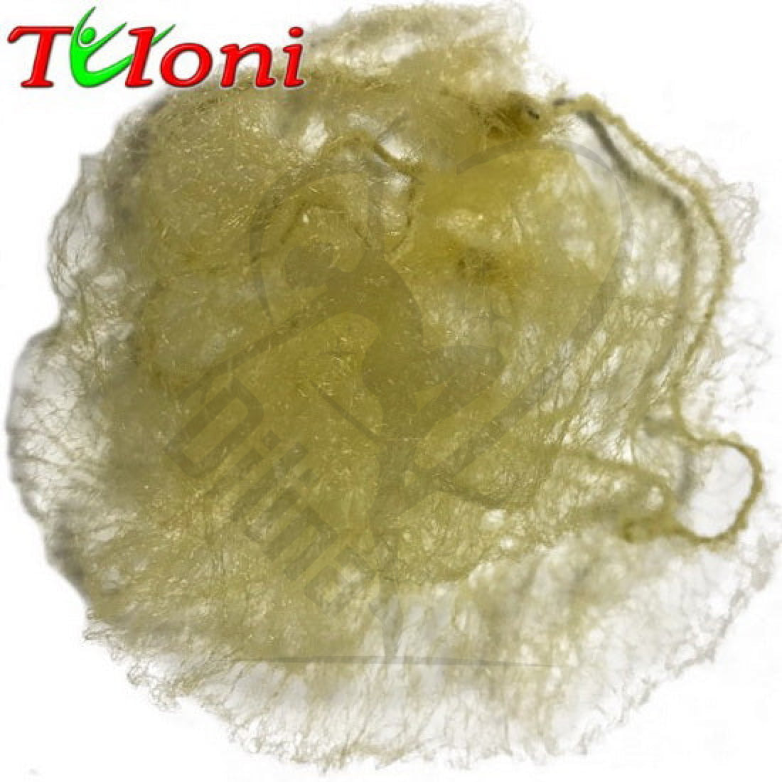 Tuloni Invisible Blonde Hairnets Accessories